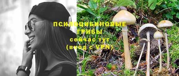 дмт Армянск