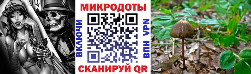Псилоцибиновые грибы Cubensis  закладки  Темников 